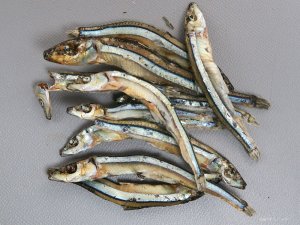 キビナゴの煮干し