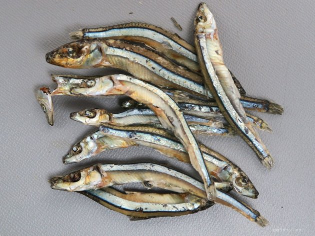 キビナゴの煮干し