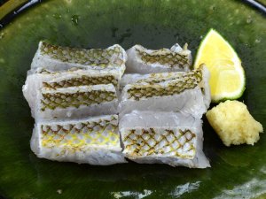 キュウセンの刺身