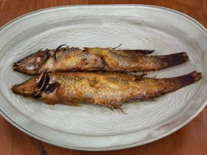 キュウセンのはぶて焼き