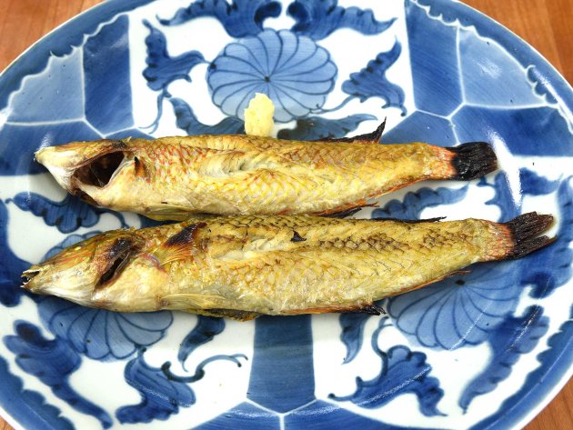 キュウセンの素焼き
