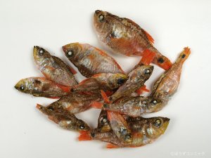 はりめ煮干し