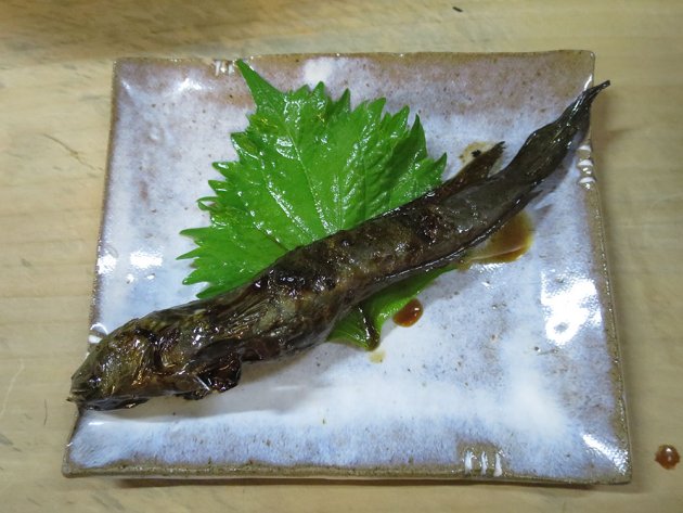 ムツゴロウの蒲焼き
