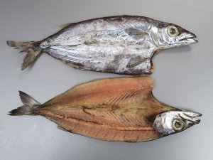 カゴカマスの干もの