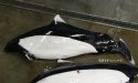 リクゼンイルカのサムネイル写真