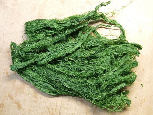 天然青海苔