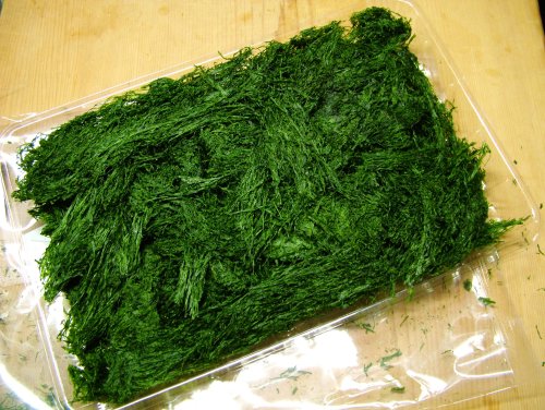 天然川のり