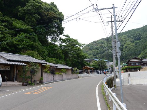 清水鯉