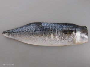 ゴマサバの文化干し