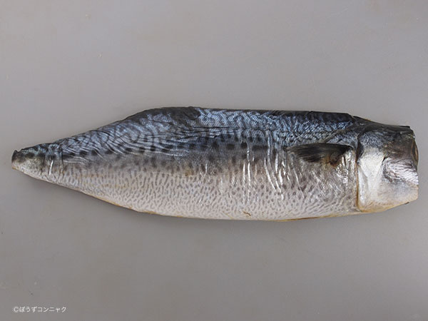 ゴマサバの文化干し