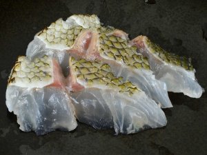 ヒラマジューマーの焼霜造り