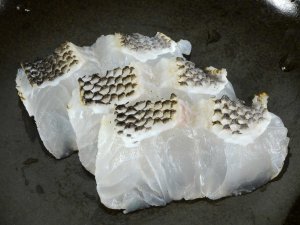 ダルマーの焼霜造り