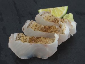 オオモンハタの焼霜造り
