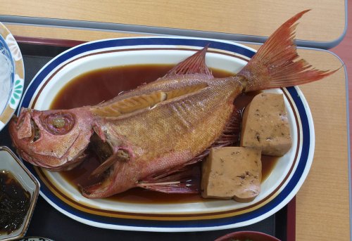 ジュサカーヒーチーの煮つけ