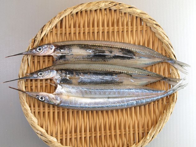 サヨリの開き干し