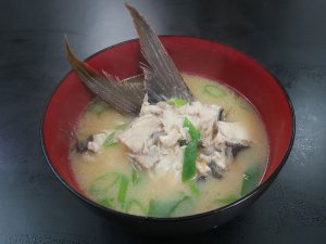 イシフエダイのみそ汁