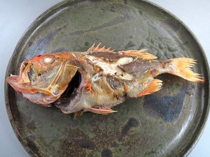 ごその塩焼き