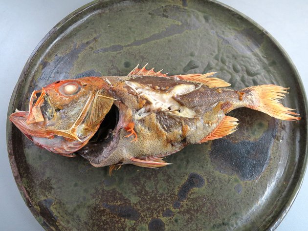ごその塩焼き