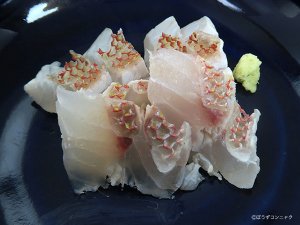 アカレンコの刺身