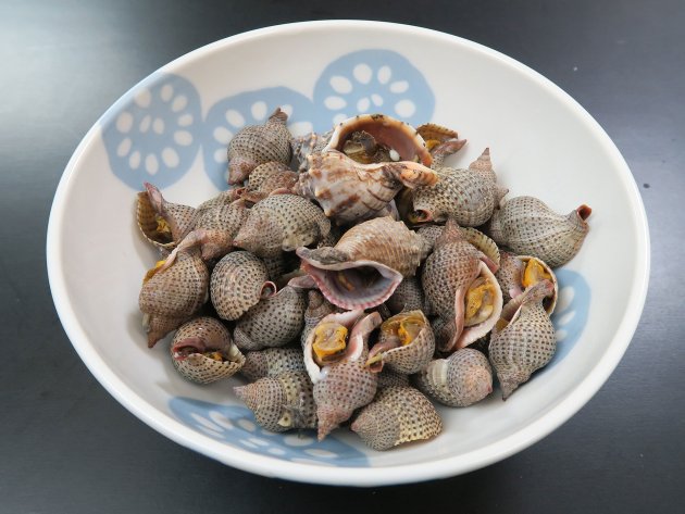 シマアラレミクリの塩ゆで
