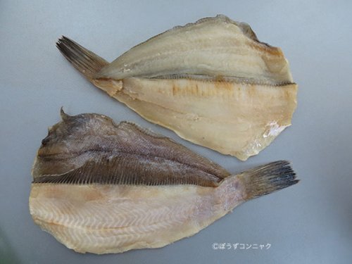 アカガレイの温泉かれい
