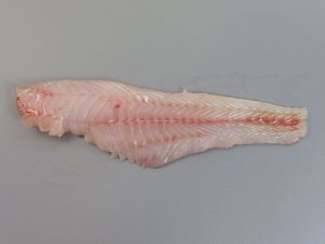 身質