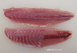 ロウソクチビキのフィレ