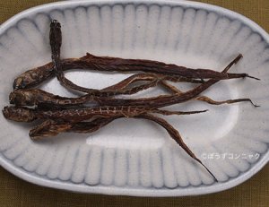 干しワラスボの炙り