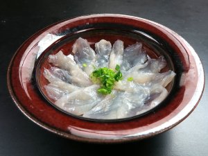 シロサバフグの刺身