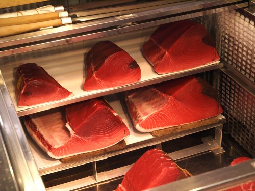 クリックで拡大表示 マグロは江戸前ずしの華