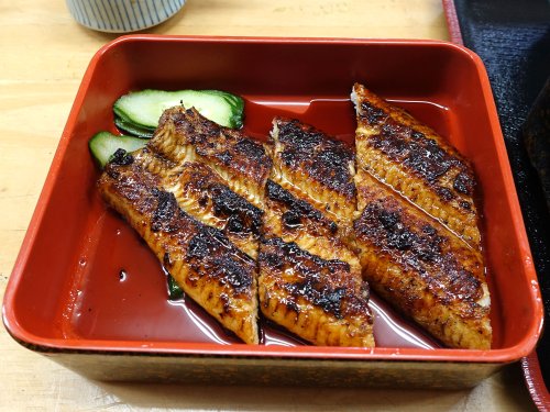 ウナギ | 市場魚貝類図鑑