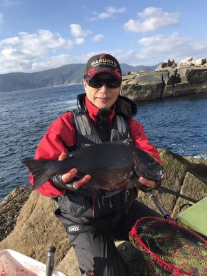 クリックで拡大表示 メジナ釣り