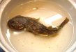 記事のサムネイル写真