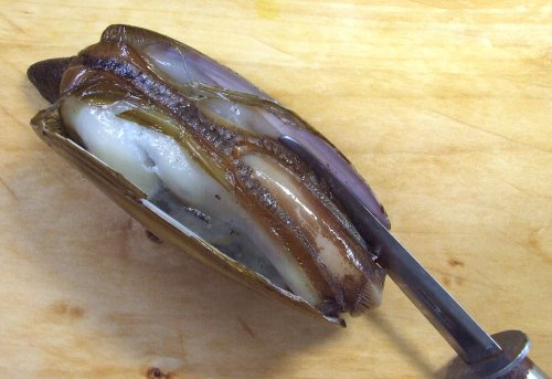 クリックで拡大表示