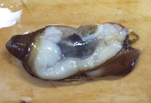 クリックで拡大表示
