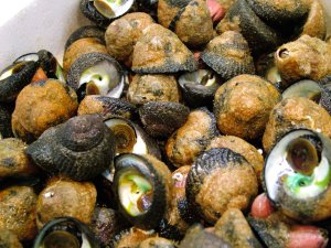 クリックで拡大表示 市場のヘソアキクボガイ