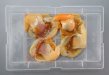 記事のサムネイル写真