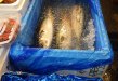 記事のサムネイル写真
