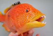 タキベラの横顔