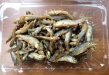 記事のサムネイル写真