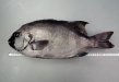 記事のサムネイル写真