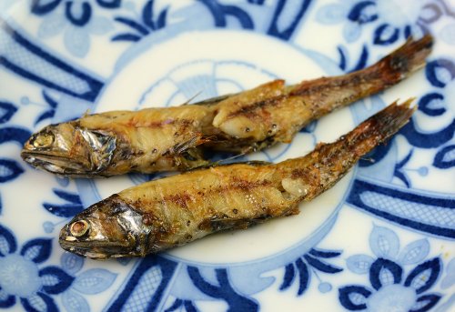 ハダカイワシの塩焼き