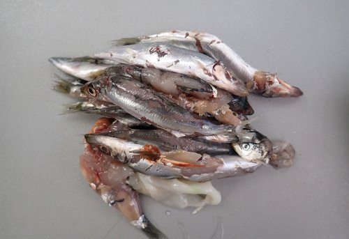小魚
