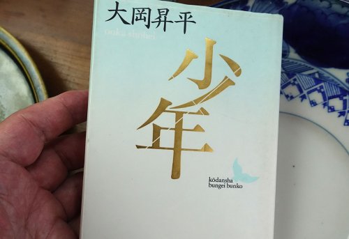 少年,大岡昇平