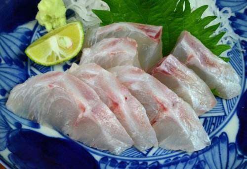 ウメイロの刺身