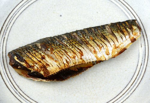 コノシロの塩焼き