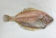 記事のサムネイル写真