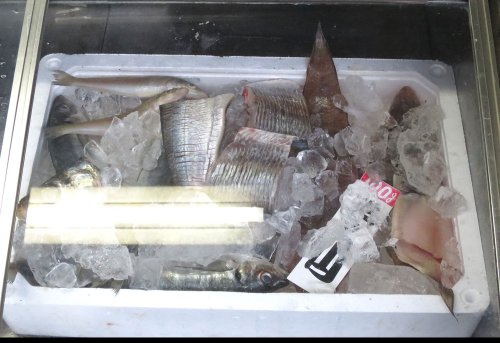 高梁市,魚屋