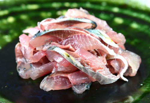カタボシイワシの刺身
