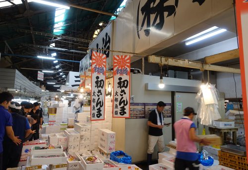 初サンマ